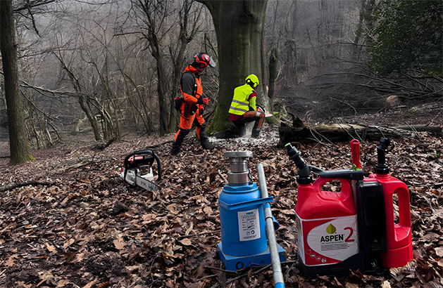 Corso forestale