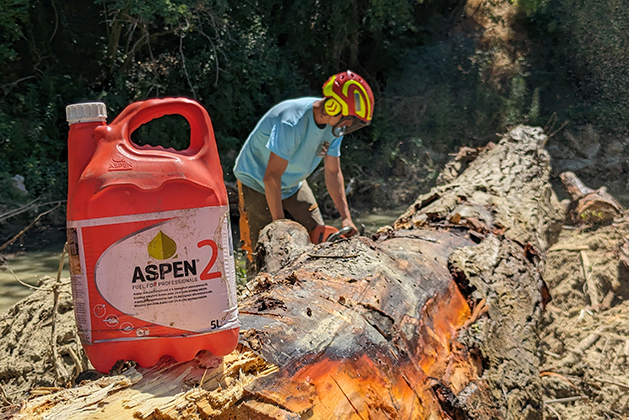 l'uomo sta segando un grande albero con una tanica di benzina alchilata Aspen in primo piano